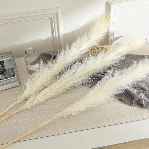 product_image_name-Generic-نباتات بامبا 3 قطع لتزيين الغرفة وديكور الزواج-1