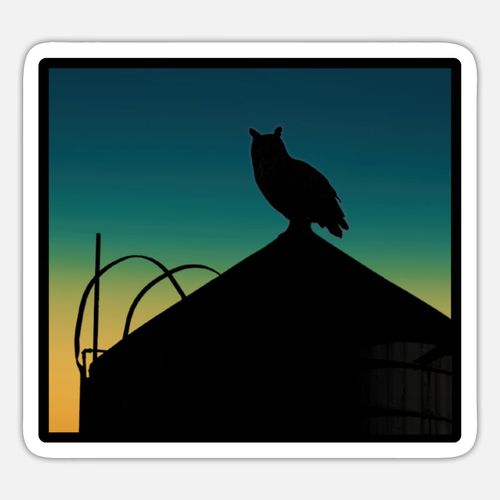product_image_name-Generic-Flaco the Owl on Water Tower - Birder Design 5 ملصقات ديكور-1