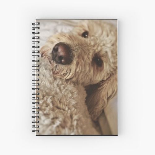 product_image_name-Generic-Sweet Goldendoodle Nose Spiral Notebook Bloc note-1