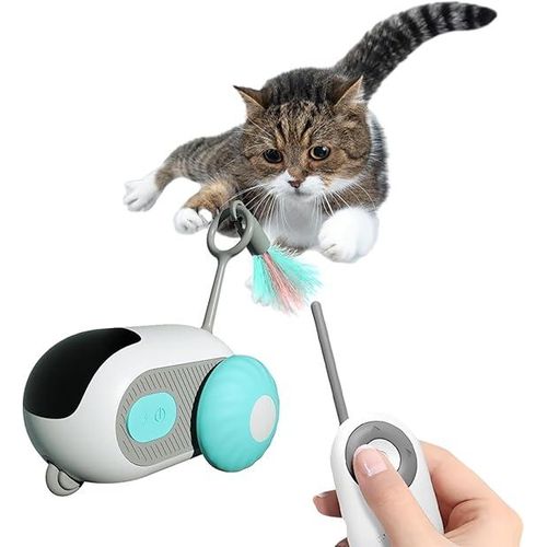 Voiture télécommandée pour chat top