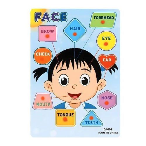 product_image_name-Generic-Jeu d'Association de Formes pour l'Apprentissage de l'Anatomie-3