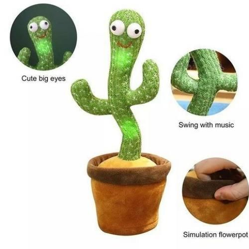Jouet cactus 