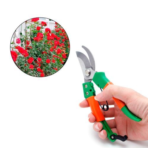 Generic Ciseaux de jardin,Outils de sécateur à main plantes de jardin à  prix pas cher