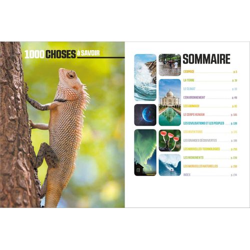 product_image_name-Generic-1000 شيء يجب معرفته يقدم هذا الكتاب أكثر من 1000 مفهوم مهم-3