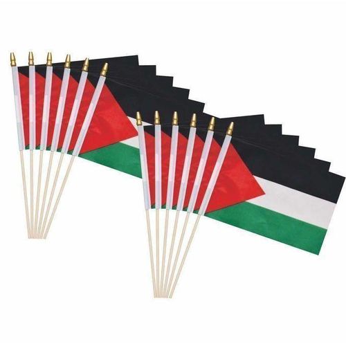 product_image_name-Generic-Lot 5 Drapeaux Palestine – Multicolore-4