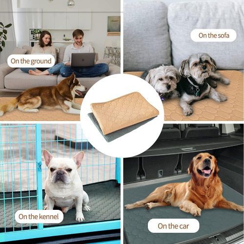 Generic Tapis Educateur Chien Ultra Absorbant à prix pas cher