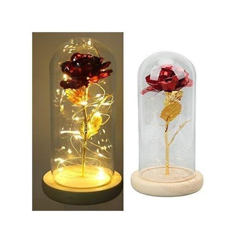 product_image_name-Generic-Rose éternelle avec éclairage décoratif-3