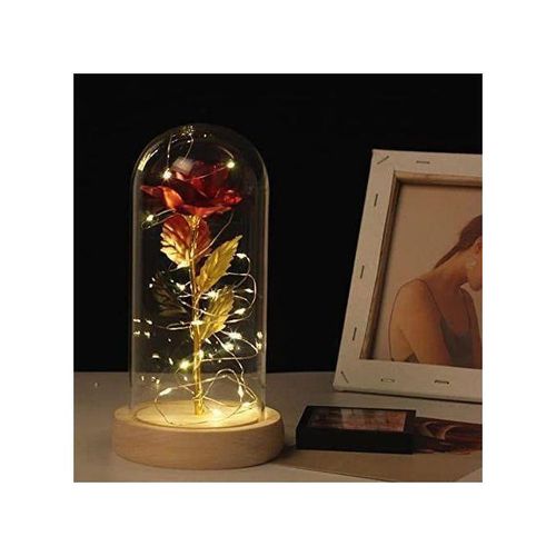 product_image_name-Generic-Rose éternelle avec éclairage décoratif-5