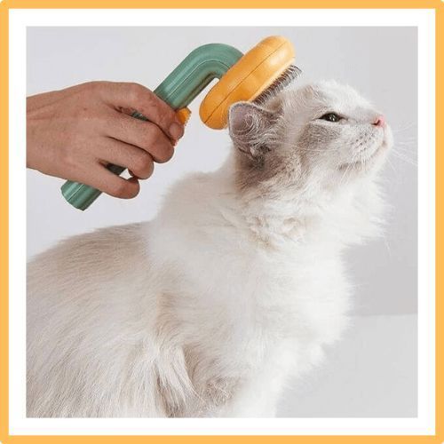 Generic Brosse toilettage autonettoyante pour chats et chiens, brosse de poils  animaux à prix pas cher