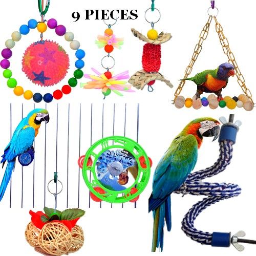 Generic Combinaison de Jouets pour Oiseaux, Accessoires pour l