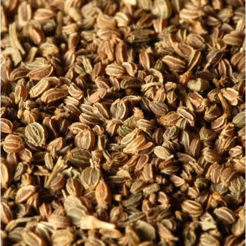 product_image_name-Natorea-Graines de Céleri 250g  La pureté naturelle pour votre bien-être.-2