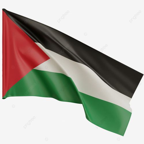 Generic Magnifique Drapeau Palestine ,150 cm × 100 cm à prix pas cher