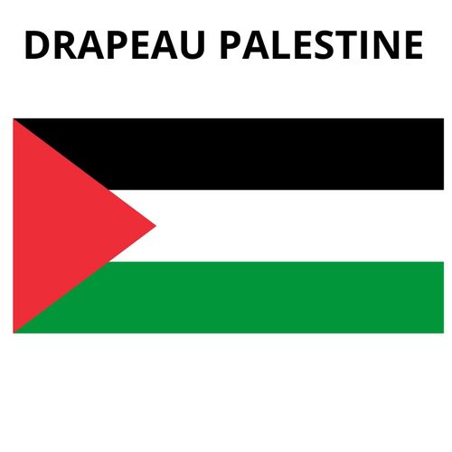 Generic Drapeau Palestine , tissu Toile polyester 150 cm × 100 cm à prix  pas cher