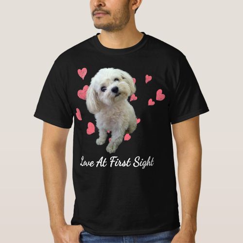 Cher sales chien maltese