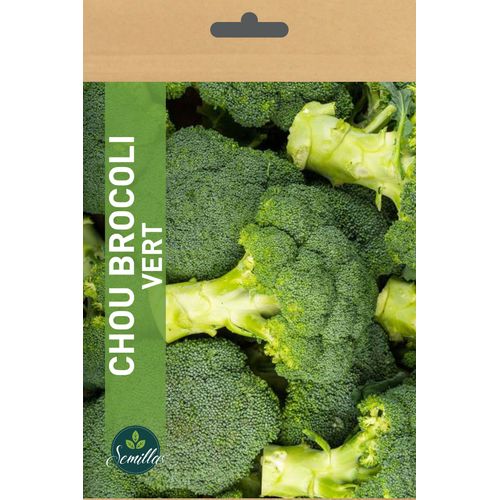 Semillas Batlle SACHET DE GRAINE CHOU BROCOLI VERT à prix pas cher