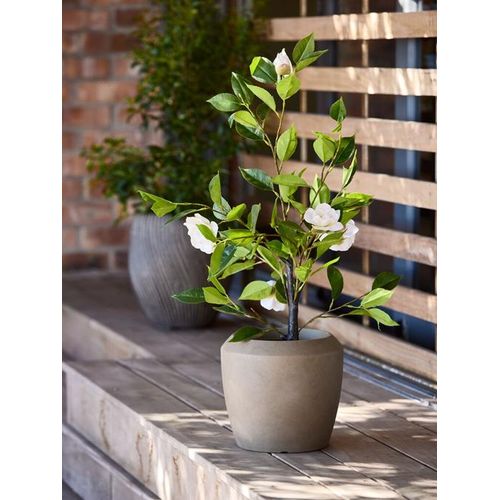 product_image_name-Generic-نبات صناعي أخضر (ارتفاع 75 سم)-3