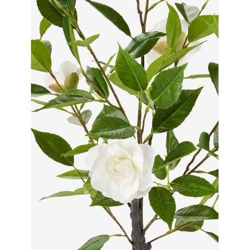 product_image_name-Generic-نبات صناعي أخضر (ارتفاع 75 سم)-4