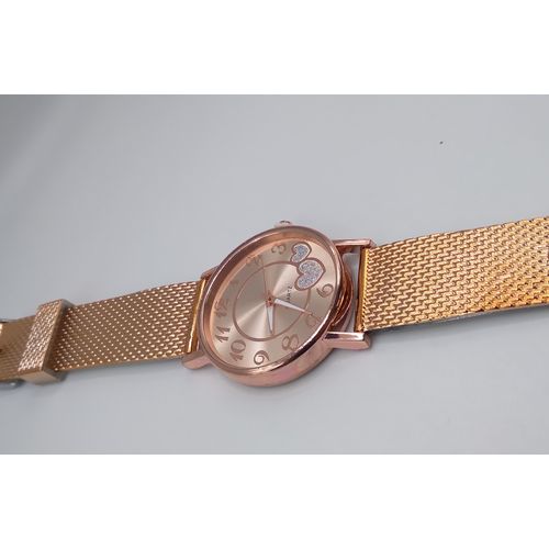Montre ferrucci best sale femme prix