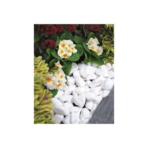 product_image_name-Generic-Pierres décoratives de jardin 20/40mm, galets décoratrices 20kg-6