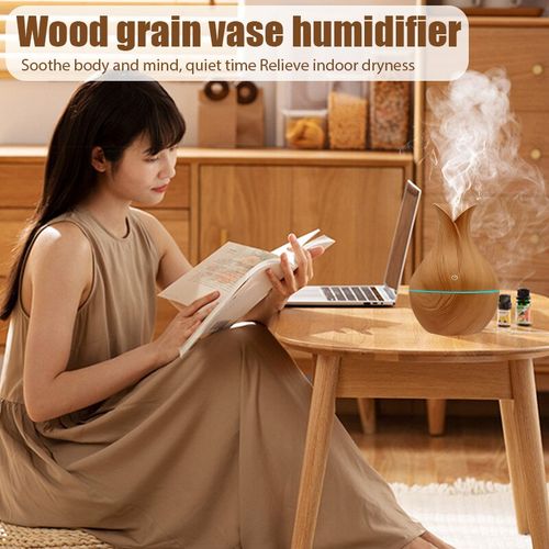 Generic Humidificateur d'air ultrasonique USB, pour maison, aromathérapie,  diffuseur d'huile essentielle à prix pas cher