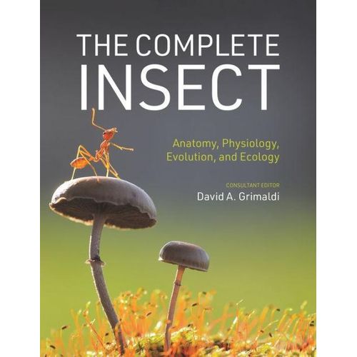 product_image_name-Ouri shop-The Complete Insect: Anatomy, Physiology, Evolution, and Ecology-1