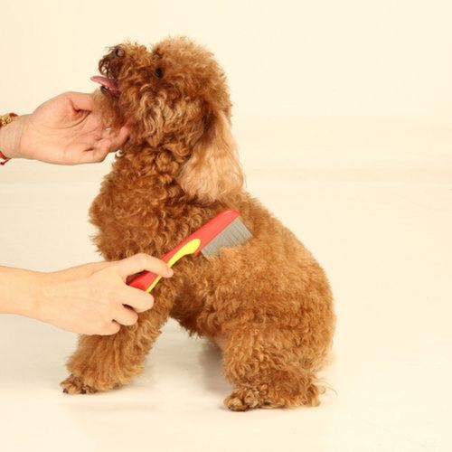 product_image_name-Generic-Peigne pour éliminer les poux , les puces, en acier inoxydable-5