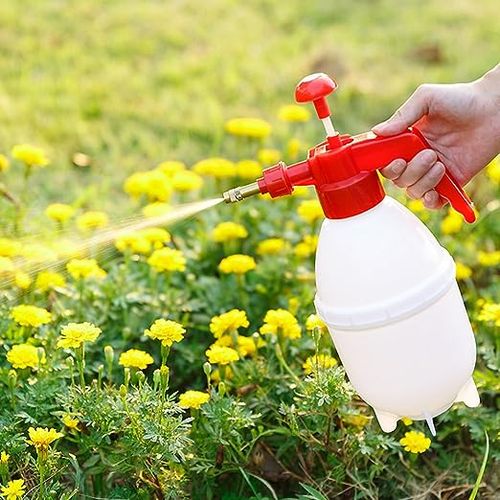 Pulvérisateur en plastique pour plantes de jardin, bouteille d'eau