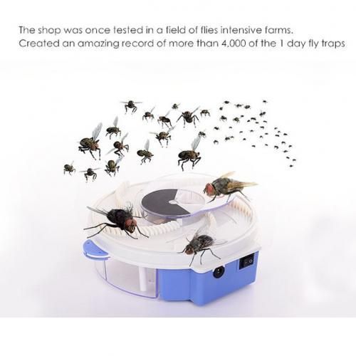 Piège à mouches électrique USB, rotation automatique, antiparasitaire,  contrôle des rejets d'insectes, attrape-mouche intérieur, cuisine, jardin,  maison, 72h - AliExpress