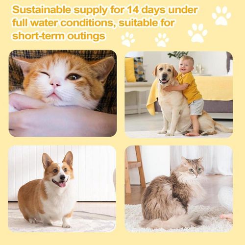 product_image_name-Generic-Hydration Made Fun: Cat Water Fountain for Happy Pets-6