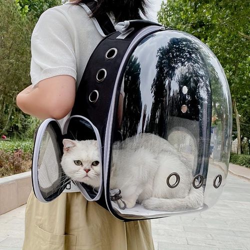 General Sac pour animal de compagnie de grande capacite sac spatial sac transparent respirant et robuste a prix pas cher Jumia Maroc