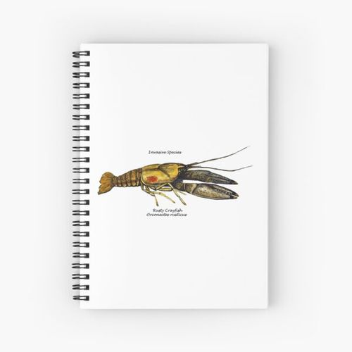 product_image_name-Generic-Rusty Crayfish  Invasive Species Spiral Notebook Bloc note-1