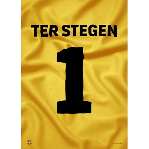 product_image_name-Generic-Ter Stegen 1 Poster Chambre Haute Qualité-1
