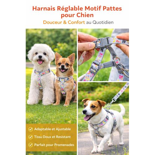 product_image_name-Generic-Harnaiss Chien Réglable Motif Pattes & Os – Confort Quotidien-3