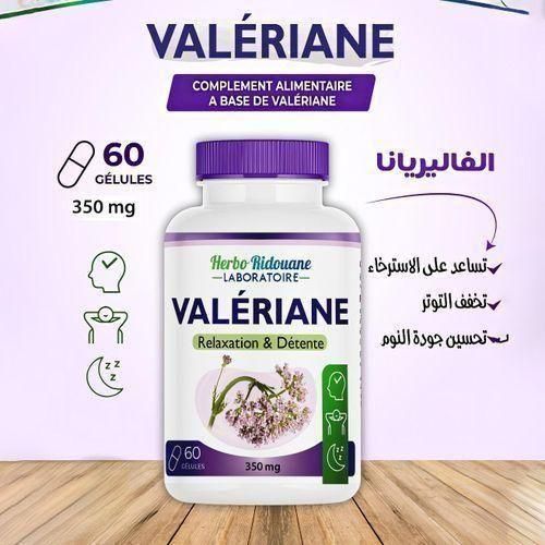 product_image_name-Herbo Ridouane-علبة من 3 زجاجات من كبسولات جذر الفاليريان عالية القوة، كبسولات مستخلص الفاليريان، 180 كبسولة.-2
