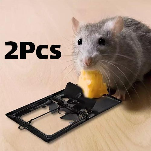 Achetez le meilleur de TANABATA 8 PCS Piège à Souris. Réutilisable