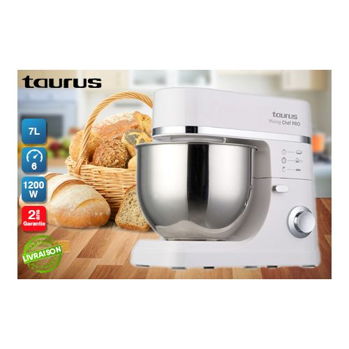 Mixeur Polyvalent Professionnel Pavoni Italia - Panier des Chefs