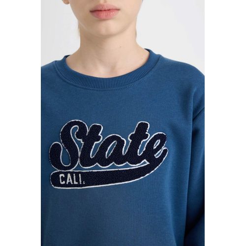 product_image_name-Defacto-سويت شيرت قصة عادية بياقة مستديرة-4