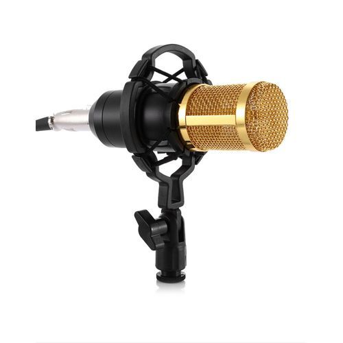 ROM Products Ensemble De Microphone À Condensateur, Microphone De Studio,  avec Effets Et Changeur De Voix, Bras De Ciseaux À Suspension De Micro