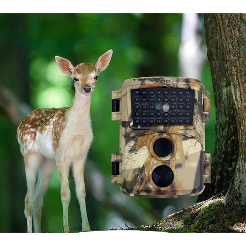 Generic Caméra infrarouge de chasse 12MP 1080P haute définition