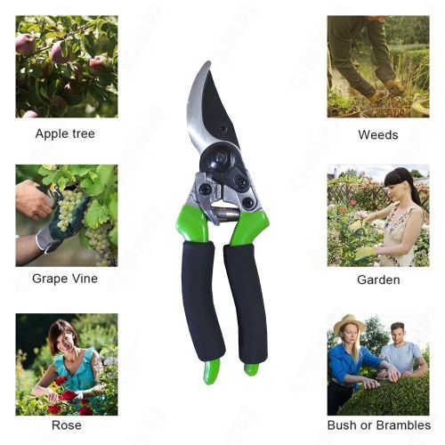 Ciseaux de taille professionnels de haute qualité, pour le jardinage à la  main, jardin sécateur, ciseaux jardin