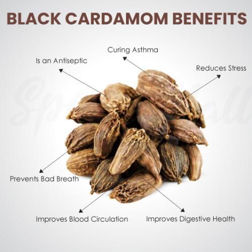 Cardamome Sénégal |  Produit Maroc