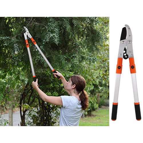 Generic Coupe Branche Telescopique Robuste, Cisaille de Jardin