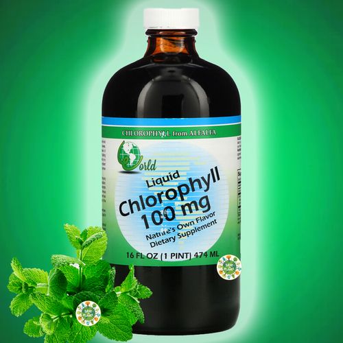 World Organic Chlorophylle Bio, Liquid Chlorophyll, 100 mg, 16 fl