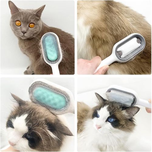 Generic Brosse d'épilation pour chien et chat, Outil pour enlever les poils  d'animaux à prix pas cher