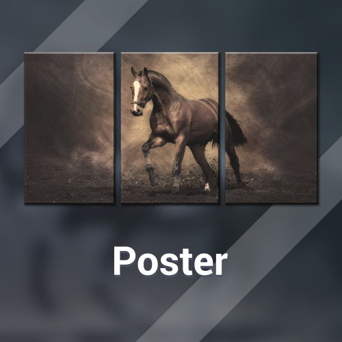 product_image_name-Generic-Tableau Dragon ball Anime  - Tableau Mural - decoration - 90 cm x 50 cm-1