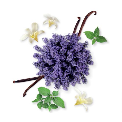 product_image_name-Mauboussin-Parfum Discovery boisé intense et sensuel-3