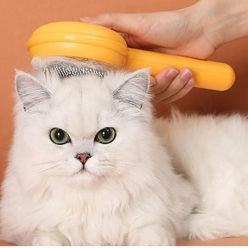 Generic Brosse pour enlever les poils d'animaux des vêtements à prix pas  cher