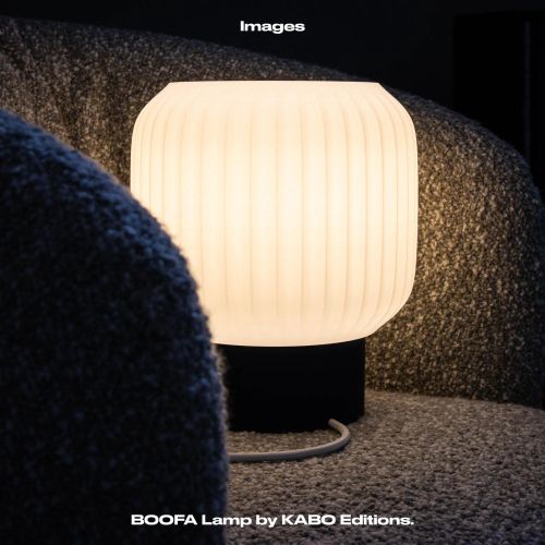 Generic BOOFA - image 6