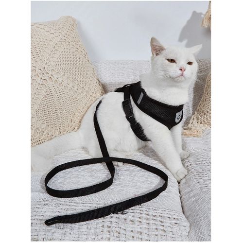 Generic Ensemble Ceinture ajustable et laisse pour chien et chat ,Pour la  marche à prix pas cher