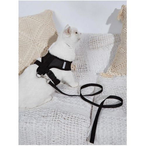 Generic Ensemble Ceinture ajustable et laisse pour chien et chat ,Pour la  marche à prix pas cher